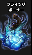 cc部門 フライングボーナー