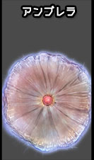 cc部門 アンブレラ